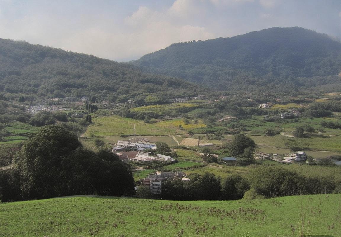 巴西墨西哥友谊赛：激情对决与文化交融记