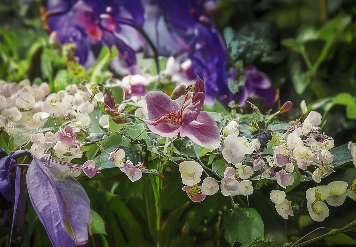 广东队对决东莞马可波罗：历史恩怨与巅峰对决